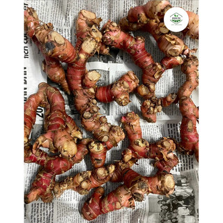 1KG RIỀNG ĐỎ