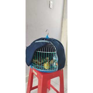 áo lồng chim cu gáy size 36 mẫu mới