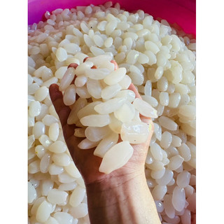 Hạt đác tươi sạch loại dẻo size trung nhỏ 1kg