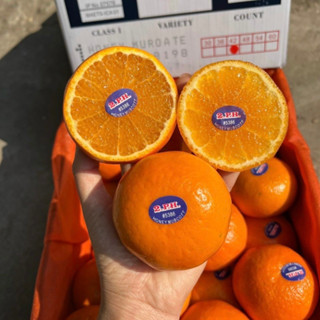 Quýt 2.P.H tươi ngon, mọng nước - Túi 1Kg - FOODMAP FRUITS