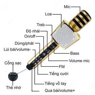 Mic Karaoke Bluetooth - GONA - Micro Cầm Tay / Micro Bluetooth