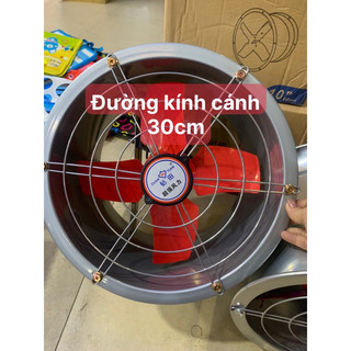 Quạt thông gió công nghiệp cánh 250mm và 300mm