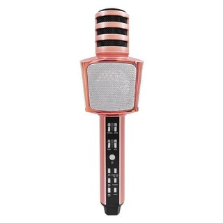 Micro Karaoke Không Dây SD-17 âm thanh to trầm ấm bắt giọng dùng để nghe nhạc không bị rè - Berito_store