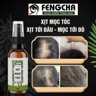 Xịt mọc tóc Fengcha giúp tăng số lượng nang tóc, dưỡng chân tóc mọc nhanh, làm đen tóc chai xịt 50ml