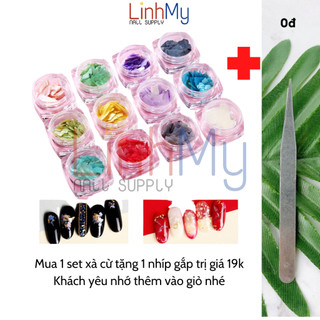 Xà cừ nail vân đá - xà cừ nhũ ẩn vỏ sò trang trí móng nail hộp 12 màu khác nhau