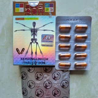 Xạ Hương Linh Chi Thấu Cốt Đơn
