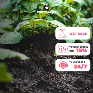 Đất chuyên dụng cho Isopods, terrarium 1KG