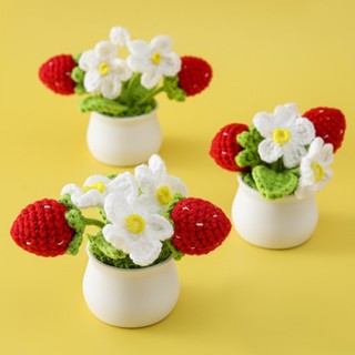  Chậu hoa len móc trái dâu mini, handmade trang trí để bàn, làm quà tặng #HA04
