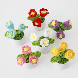  Chậu hoa len móc mini handmade trang trí để bàn, làm quà tặng #HA02