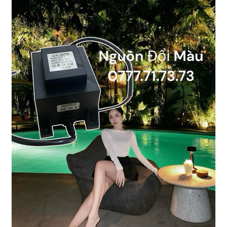 Đổi nguồn 24v cho đèn đổi màu, bộ đổi nguồn ip68, chuyển điện 220v sang 24v, đổi nguồn hồ cá koi, nguồn led sân vườn