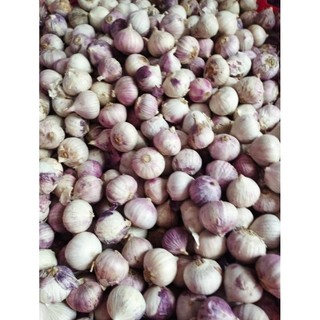 1kg tỏi cô đơn loại lớn