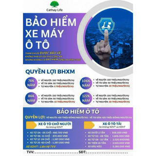 Bảo hiểm tnds bắt buộc và tự nguyện xe máy tặng bản điện tử online