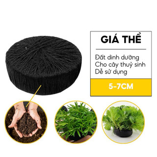 Combo 10 giá thể trồng cây thuỷ sinh cắt cắm