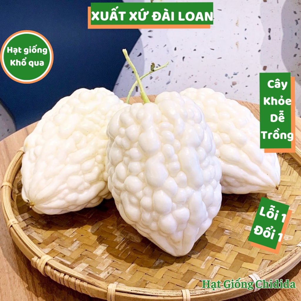 Hạt giống khổ qua trắng Đài Loan nảy mầm cao cây khỏe nhiều quả năng suất hạt giống mướp đắng trái t