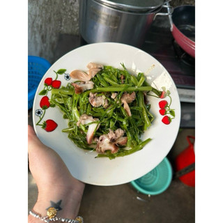 RUỘT ỐC GIẤY ( ỐC GIẤM ) hộp 500g (giao tphcm)