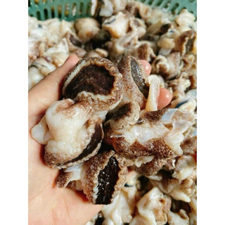 RUỘT ỐC GIẤY ( ỐC GIẤM ) hộp 500g (giao tphcm)