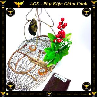 Quả giả mồi gắn lồng bẫy chim, ace phụ kiện chim cảnh