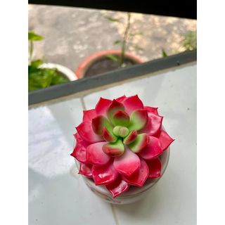 Sen đá hồng size 9cm làm bằng đất sét