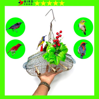 Lồng Inox Bẫy Chim Khuyên, Sâu, Hút Mật, Ốc Mít, Tiểu Mi Và Các Dòng Chim Nhỏ