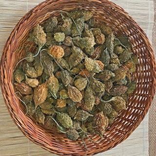 Bột Khổ Qua Rừng Nguyên Chất