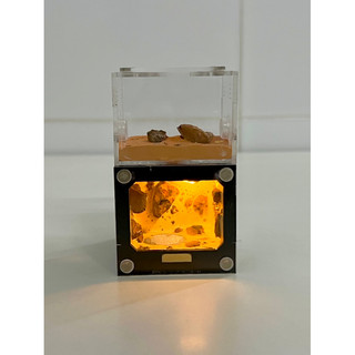 Tank Đứng Mini