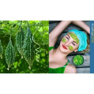 Bột Khổ Qua Rừng Nguyên Chất