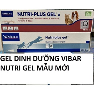 Gel dinh dưỡng chó mèo