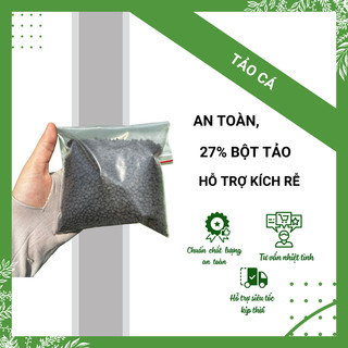  Tảo Cá Hỗ Trợ Kích Rễ Và Giúp Cây Cứng Cáp - Vật Tư Nông Nghiệp 