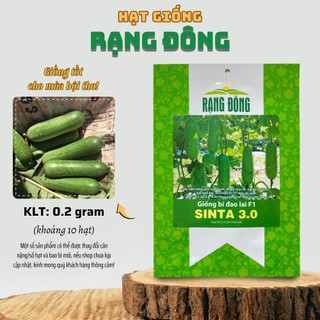 Hạt giống Bí Đao Sinta 3.0 trái sai, nhanh thu, trồng quanh năm - Hạt giống Rạng Đông
