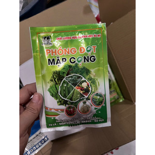 Phóng đọt - Mập Cọng (Nhú đọt, xanh lá, dày lá, mập cọng, đẻ nhánh, nở bụi)