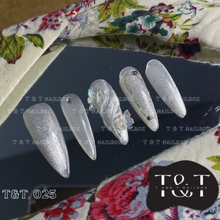 [025] Nailbox thiết kế nhà T&T Sơn gel nổi thiết kế ( móng giả , móng up )