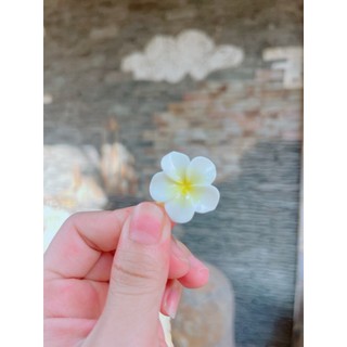 Kẹp tóc mái hình hoa sứ dễ thương vỉ 2 cái/ Shop Liam
