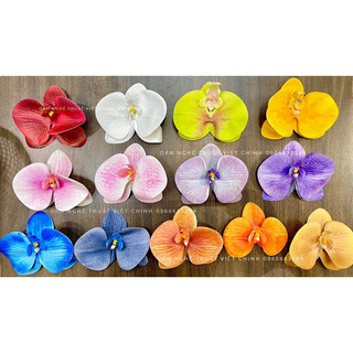 (Đầu bông) hoa địa lan