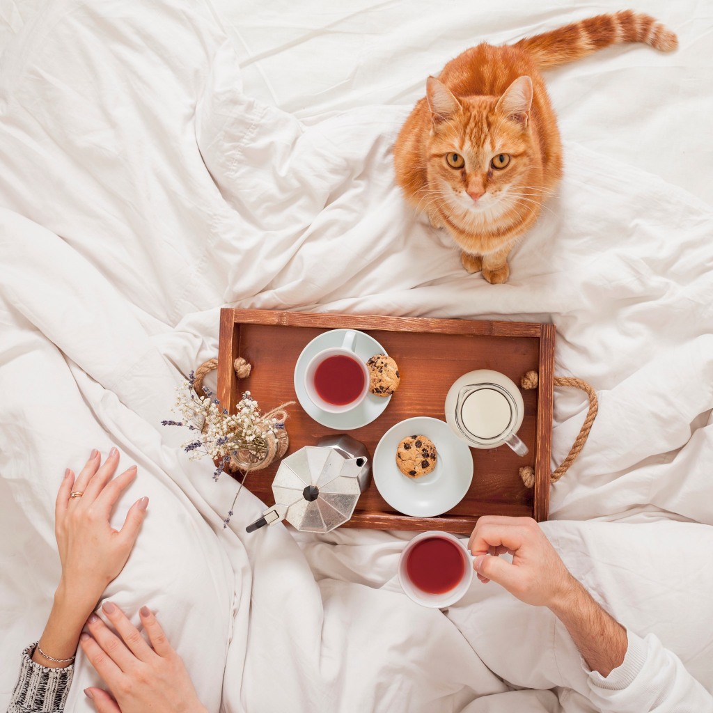 Thực Phẩm Bảo Vệ Sức Khỏe: G3 (1 chai, 900 ml/chai) Nuskin date CTY 11/2024