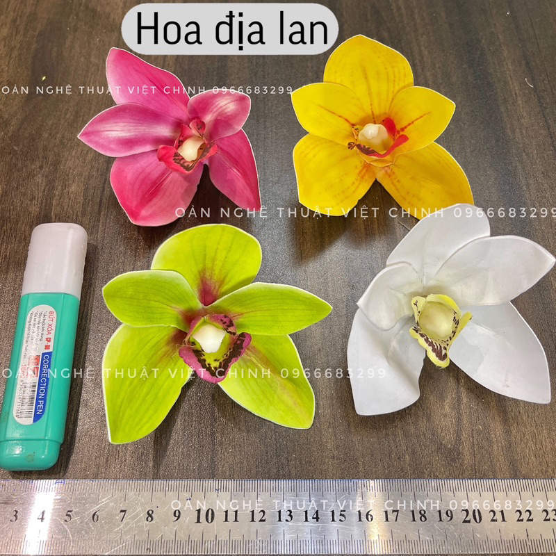 (Đầu bông) hoa địa lan