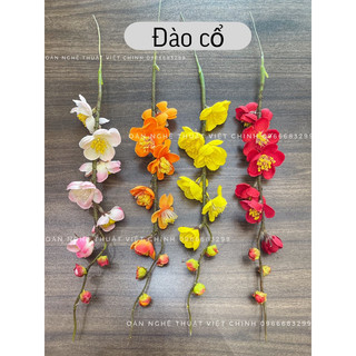 (Đầu bông) hoa địa lan