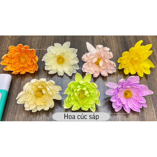 (Đầu bông) hoa địa lan