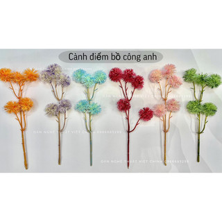 (Đầu bông) hoa địa lan