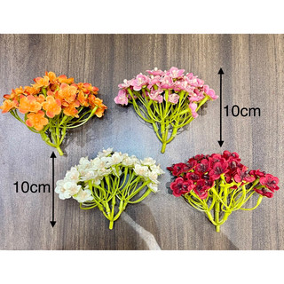 (Đầu bông) Cụm hoa nhí