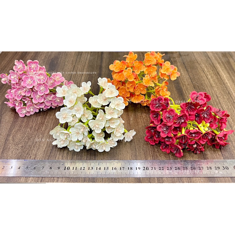(Đầu bông) Cụm hoa nhí