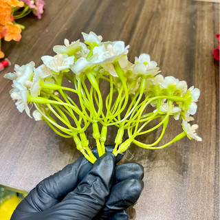 (Đầu bông) Cụm hoa nhí