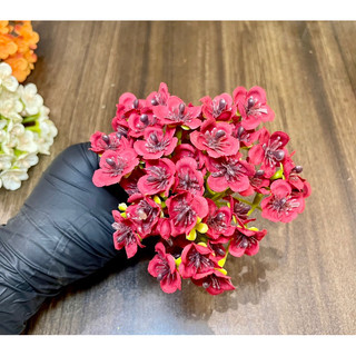 (Đầu bông) Cụm hoa nhí