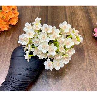 (Đầu bông) Cụm hoa nhí