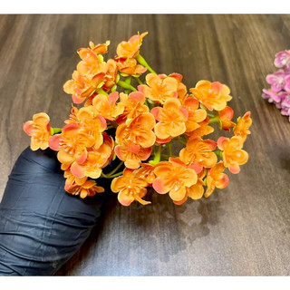 (Đầu bông) Cụm hoa nhí