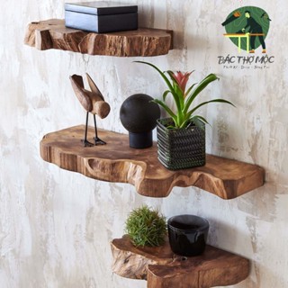 Kệ Gỗ Tự Nhiên Uốn Lượn FUTURECHOICE Lắp Âm Tường Giấu Chân Decor Đa Năng