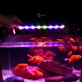 Đèn hồ cá ĐỔI MÀU 6 DÃY LED với 3 chế độ màu dành cho hồ cá cảnh