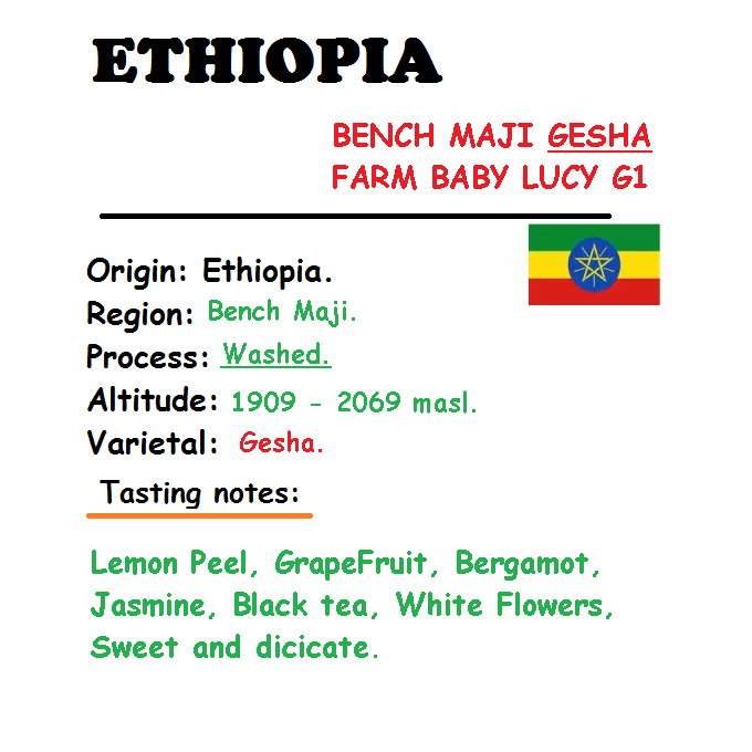 SPECIAL COFFEE - HẠT - 500 g (Gồm 2 TÚI 250 gram - Gross Weight)  CÀ PHÊ ETHIOPIA BENCH MAJI GESHA F