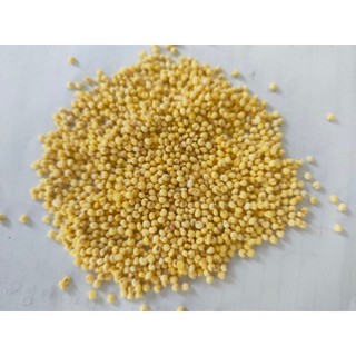500G HẠT KÊ NẾP VÀNG NOA NUTS