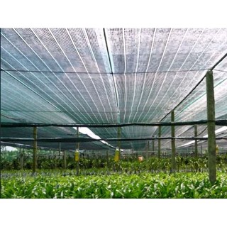 Lưới che nắng ,khổ rộng 2m ,3m ( Bán Theo Mét Dài )