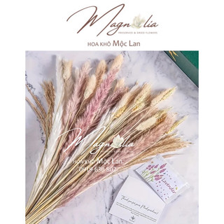 Set hoa khô cỏ lau cắm bình decor trang trí nhà cửa vintage